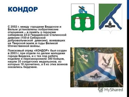 Проект город бердск