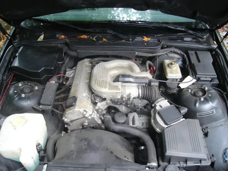 М 40 б 18. БМВ е36 м43. BMW e36 1.6. Мотор m43 БМВ е46. БМВ е36 1.8 м43.