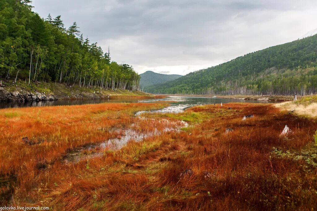 зейский заказник бекельдеуль. природа зейского района амурской области. река тында. амурская область природные. зейский заказник амурская область.