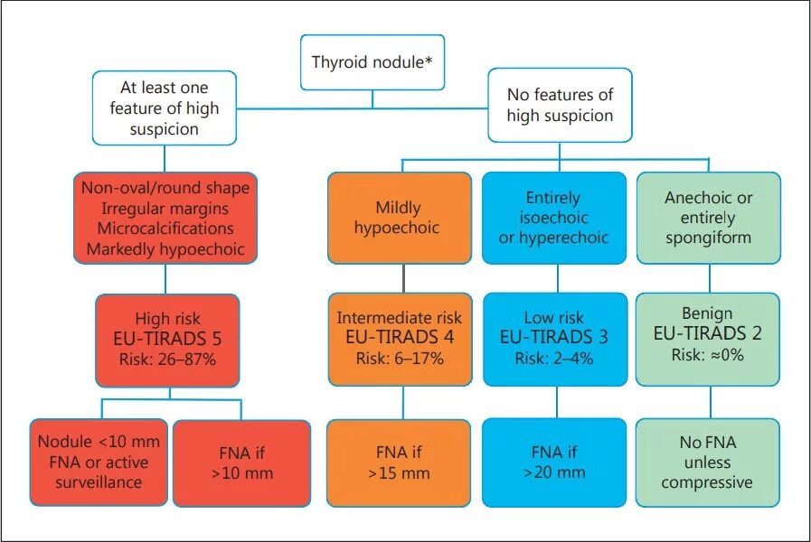 Тирадс классификация узлов щитовидной железы. Классификация Tirads щитовидная железа УЗИ. Щитовидная железа классификация ti-rads. Классификация Tirads щитовидная железа.