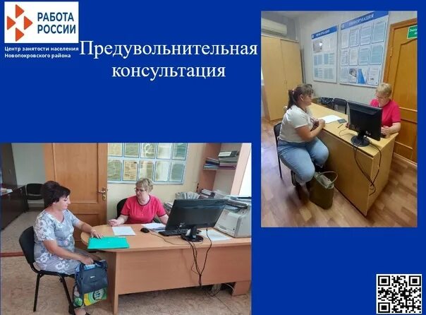 Цзн новопокровская. Центр занятости новопокровская. Центр занятости краснодар прикубанский. Соцзащита ст ленинградская. Станица новопокровская краснодарский край.