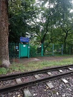 Тимирязевская 47