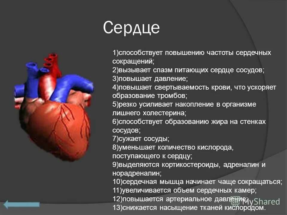 Сокращение мышц и работа сердца