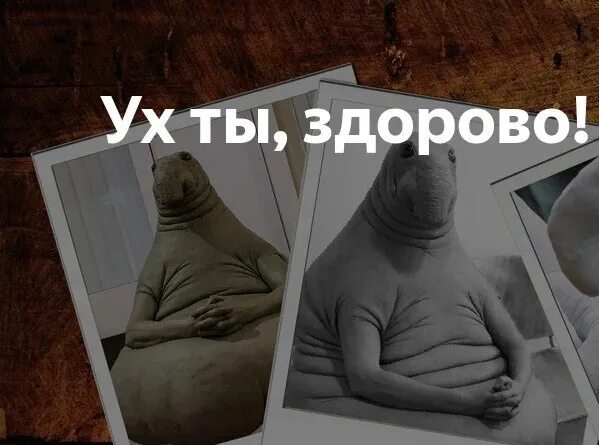 Ух ты или ух ты