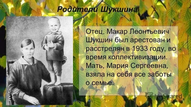 В м шукшин родился