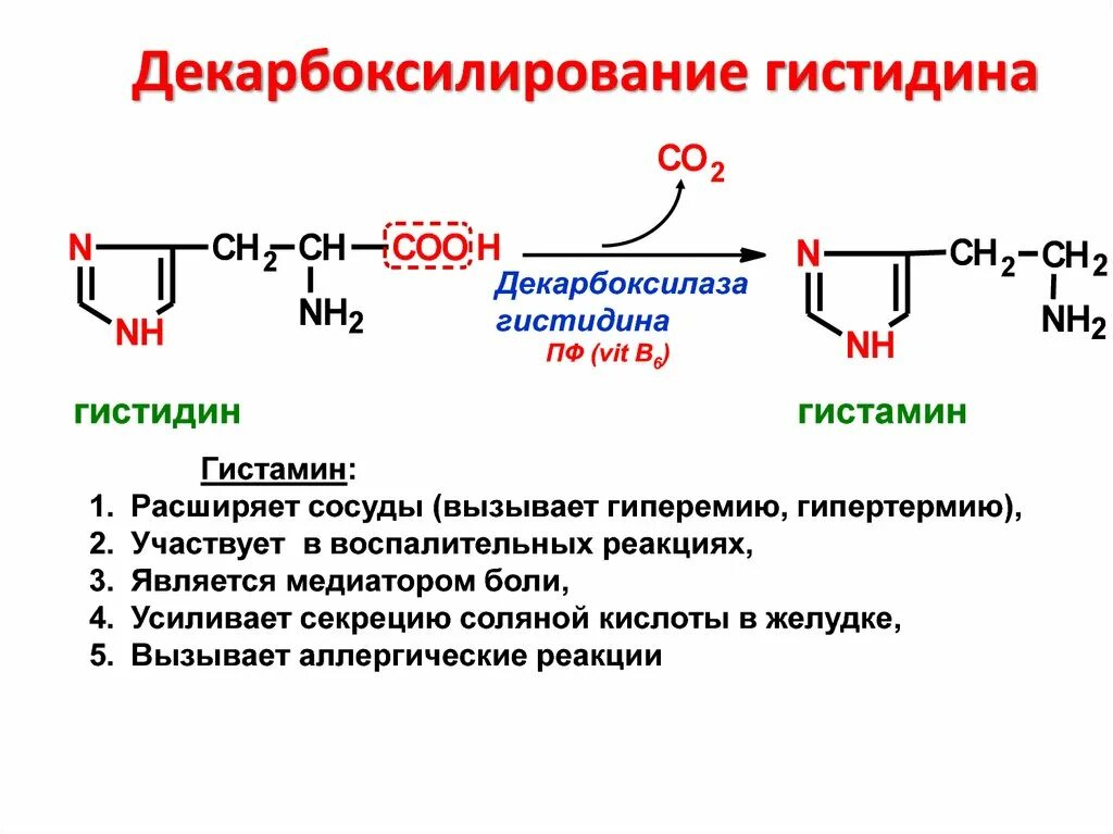 Декарбоксилирование аминокислот гистамин. Реакция образования гистамина биохимия. Декарбоксилирование гистидина реакция. Гистидин в гистамин.