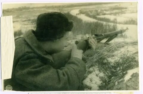 Партизан 5