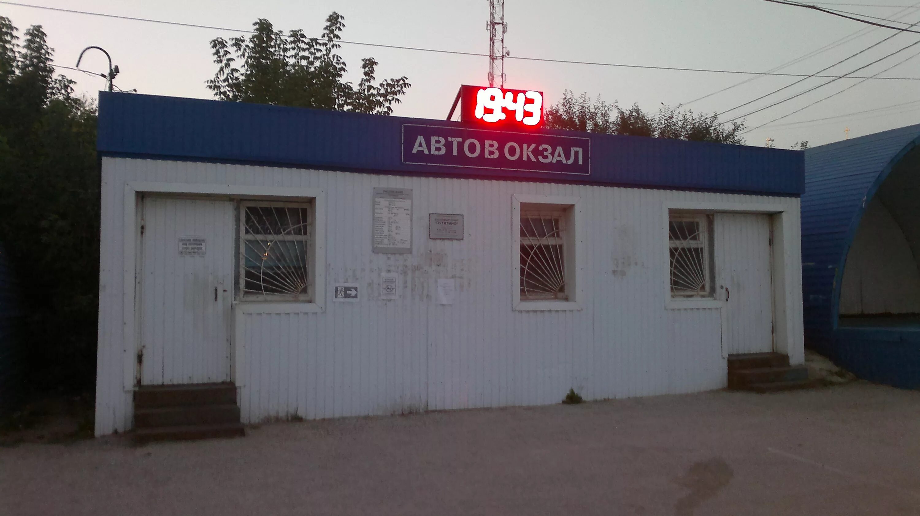 Ikarus 256. паз 320455-04 vector next 8,8. икарус 256. автобус рязань шацк. икарус касимов.