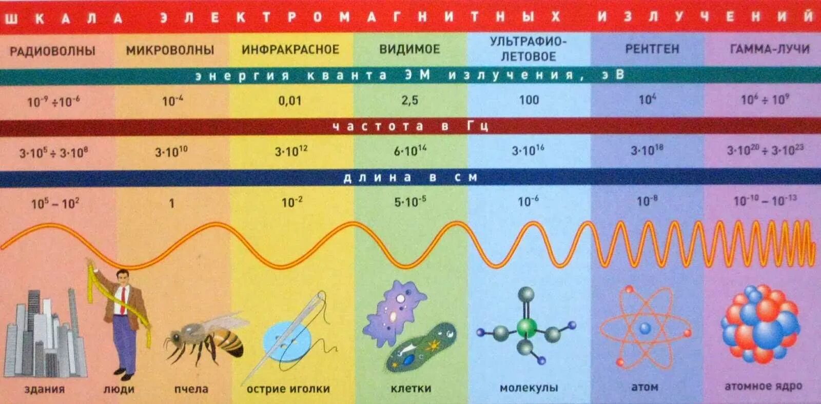 Длина волны 1 мм частота. Спектр шкала электромагнитных волн. Диапазон частот электромагнитного излучения таблица. Шкала длин волн электромагнитного излучения. Таблица длин волн электромагнитного излучения.