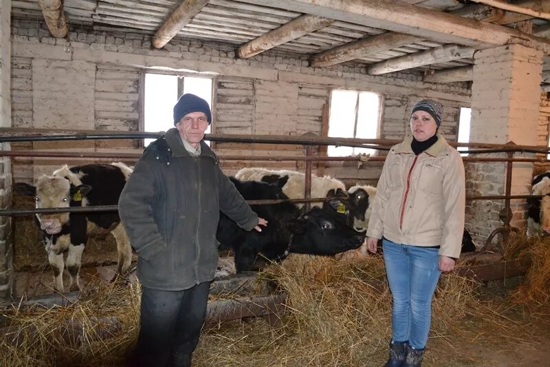 Дабужа Калужская область. Село Дабужа Сухиничского района Калужской области. Верховая Сухиничский район. Деревня верховая.