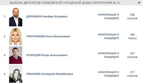 Результаты выборов городская дума