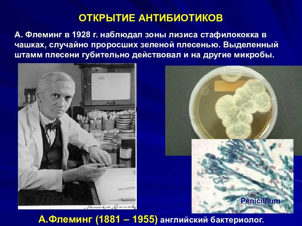 1928 пенициллин. Антибиотики пенициллин Флеминг. Флеминг пенициллин открытие. Флеминг микробиология открытия.