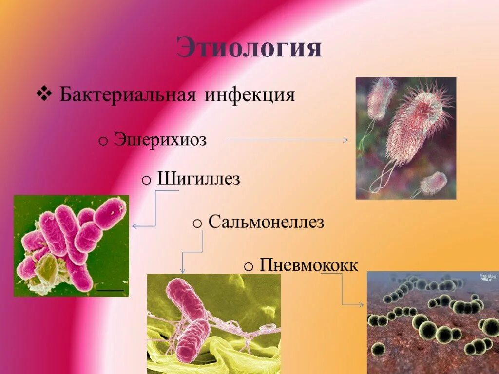 Эшерихиоз сальмонеллез. Эшерихиоз возбудитель заболевания. Возбудители бактериальных инфекций эшерихиоз. Эшерихиоз этиология. Эшерихиоз патогенез.