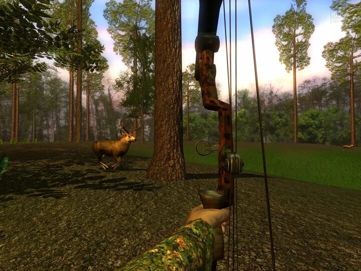 Игры про охоту на слабый пк. Hunting Unlimited 2010. Игра охота Hunting Unlimited. Игра Hunting Unlimited 5.