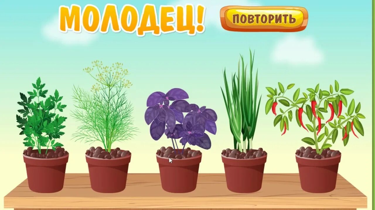 Комнатные растения мультяшные. Видео про растения для детей. Видео про растения для детей. Видео про растения для детей. Цветы для дошкольников.