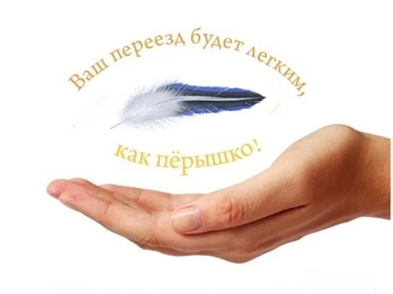 трезвый волгоград