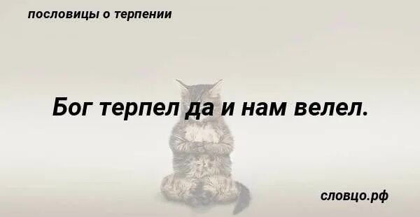 Господь терпеть. Бог терпел и ам велел. Бог терпел. Бог терпел и нам велел картинки. Бог терпел и нам велел Мем.