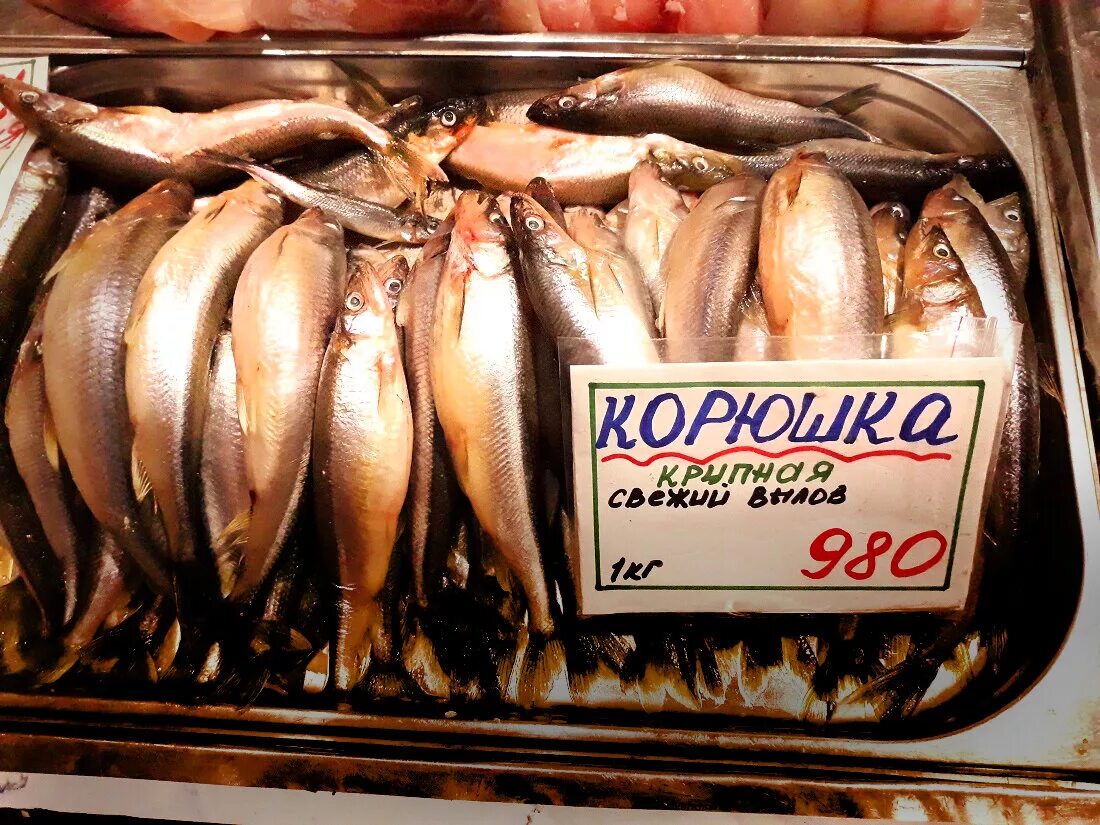 Как называется рыба которая пахнет. Питерская рыба. корюшка санкт-петербург. питерская корюшка. питерская рыба корюшка.