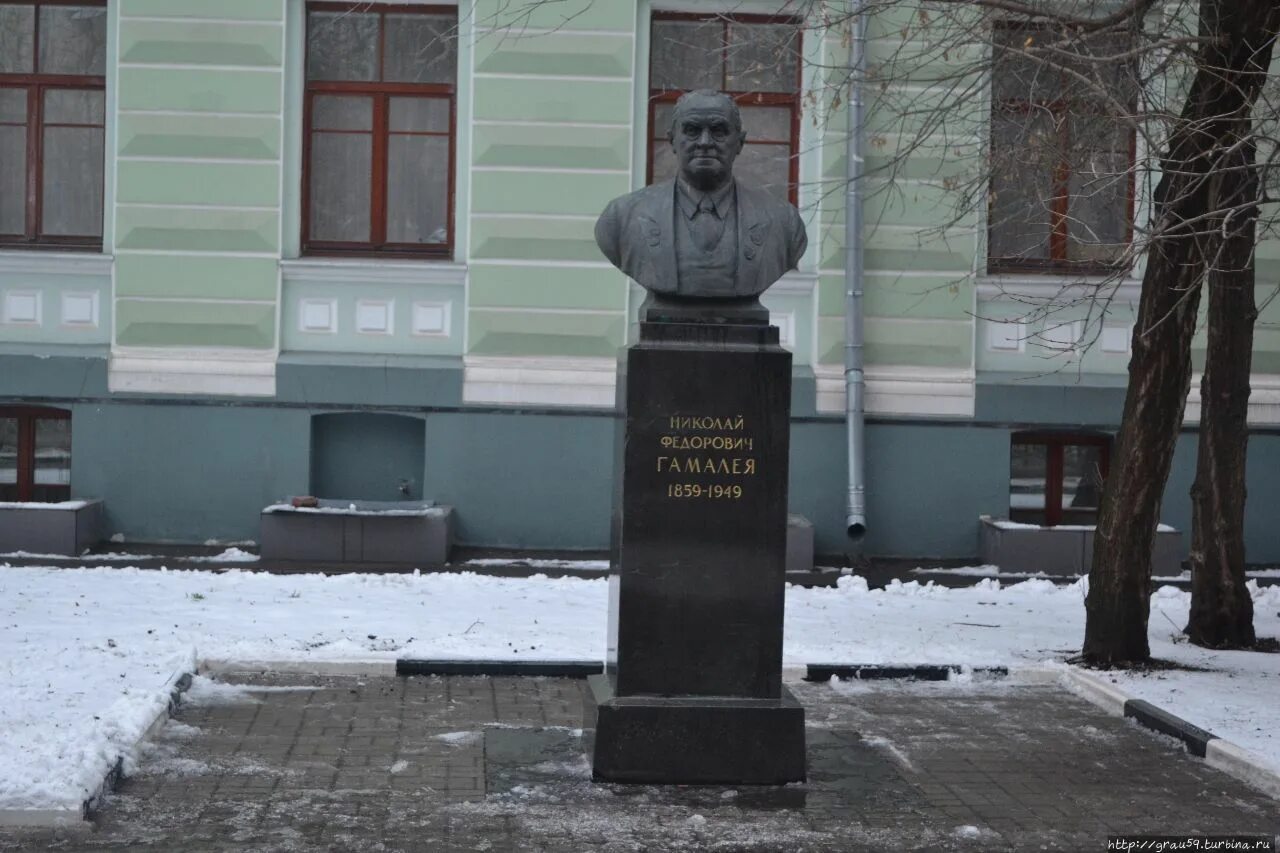 Высоких н ф