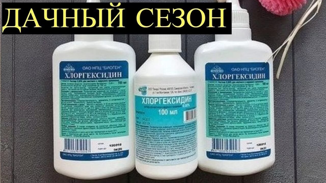 Можно ли добавить хлоргексидин в бассейн. Хлоргексидин. хлоргексидин в быту. хлоргексидин для растений. хлоргексидин для семян.