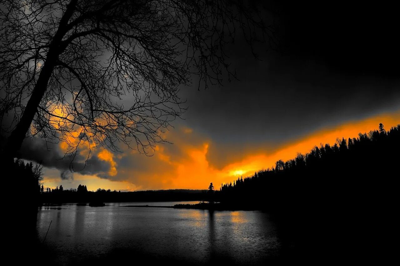 Темные сумерки. Страшный лес в тумане. Природа ночью. Озеро в тумане ночью. Повисли плотные сумерки и во мраке.