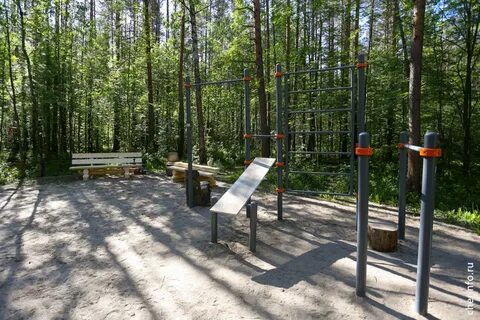 Тропа здоровья череповец зашекснинский