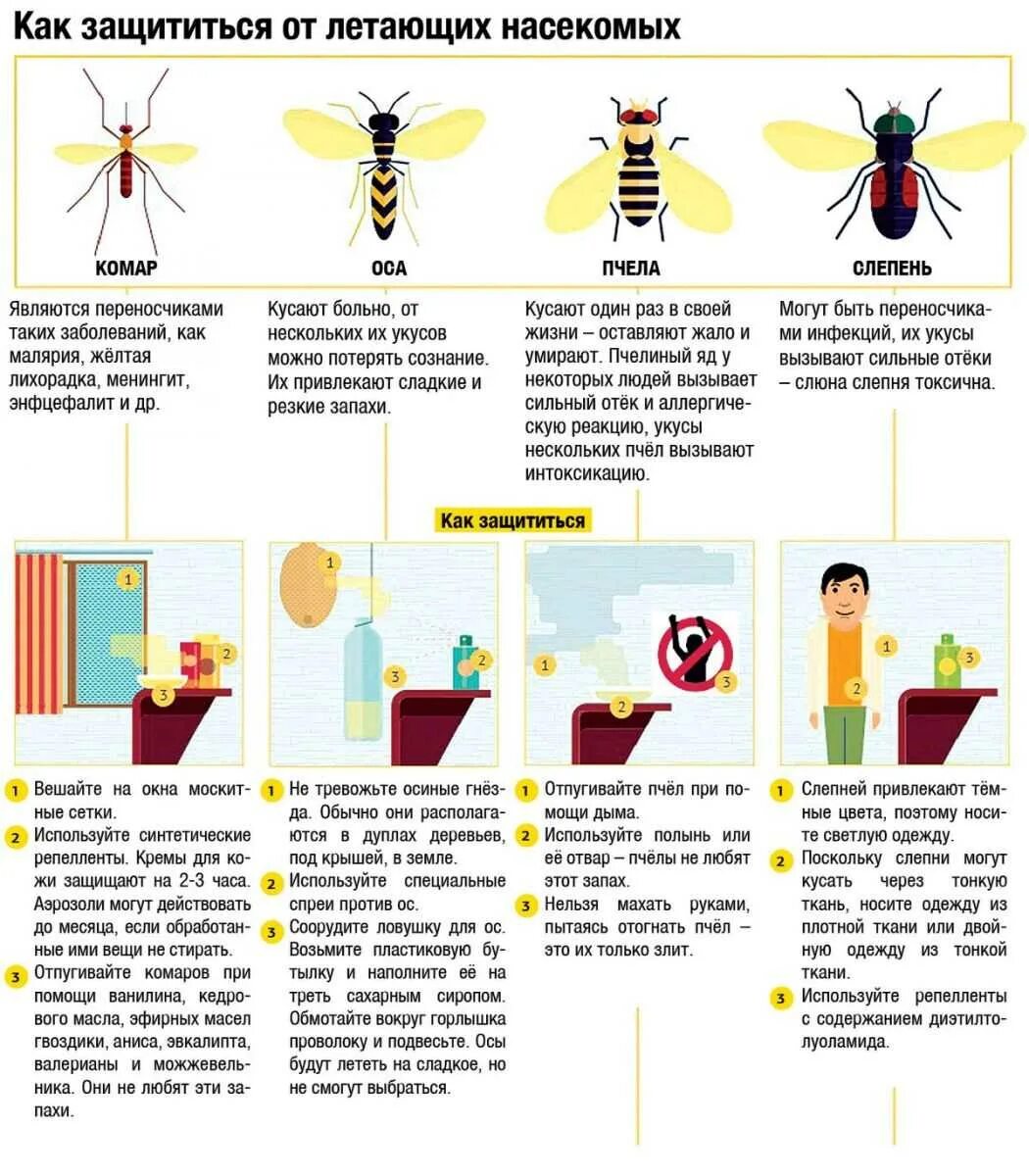 Как призвать пчелу. Памятка первая помощь при укусах насекомых. Памятка для родителей при укусах насекомых. Жалящие насекомые памятка для детей. Памятки укусы насекомых для детей.