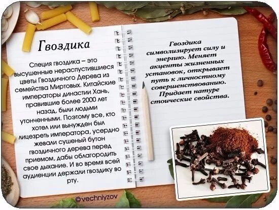 Бутоны гвоздики лечебные. Гвоздика сушеная приправа. Пожевать гвоздику. Гвоздика свойства для организма и противопоказания. Гвоздика специя полезные.