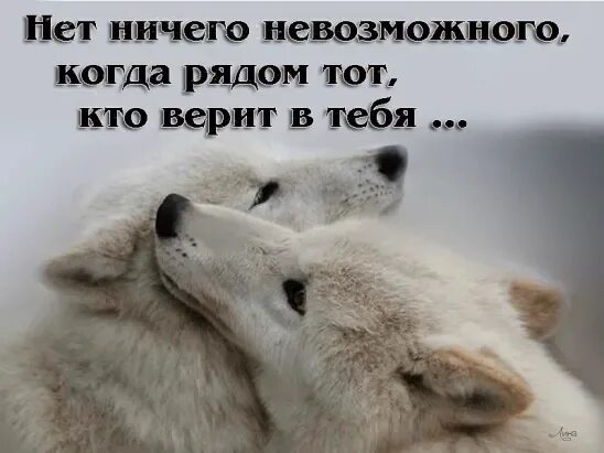 Всегда рядом. Я верю ты когда ты рядом. Нет ничего невозможного. Хочется чтобы ты был рядом. Статус нет ничего невозможного.