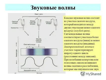 На какое расстояние распространяется звуковая волна