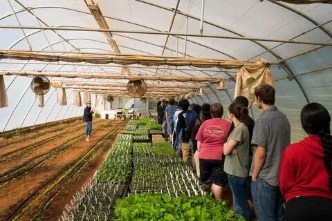 Farm job