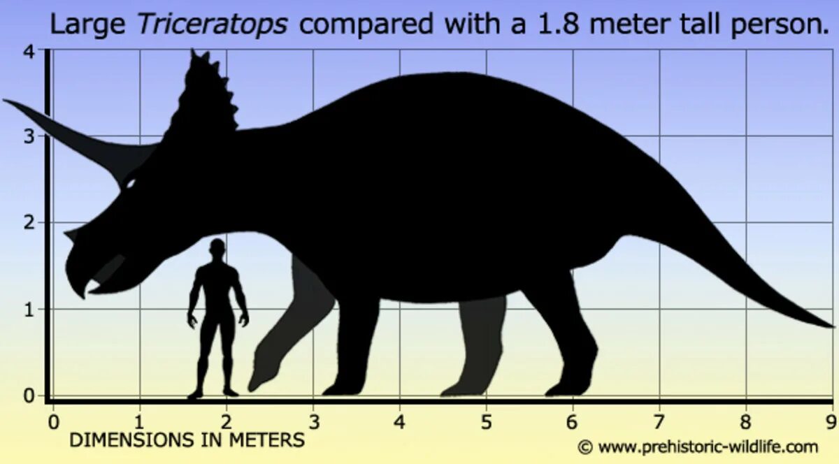 Сравнение динозавров. Трицератопс рост и вес. Динозавр Трицератопс рост и вес. Трицератопс динозавр и человек. Тираннозавр рекс и Трицератопс.