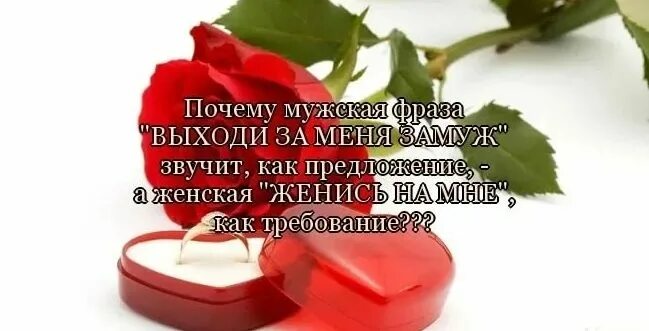 Выходи за моего мужа дата