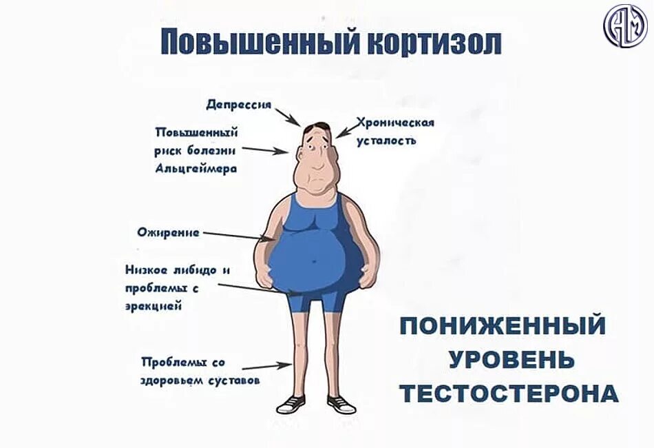 Кортизол после тренировки. Эстрадиол у мужчин. высокий кортизол. эстроген у мужчин. что такое гормоны у женщин.