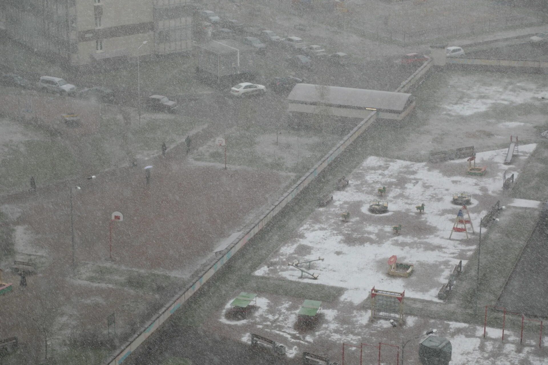 Где выпал снег в россии сегодня. В Санкт-Петербурге выпал снег. Снег в городе. Снег сегодня. Майский снег в городе.