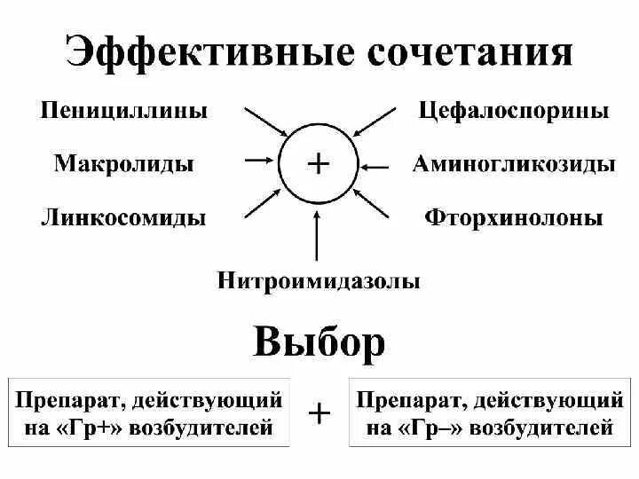 Пенициллины цефалоспорины макролиды