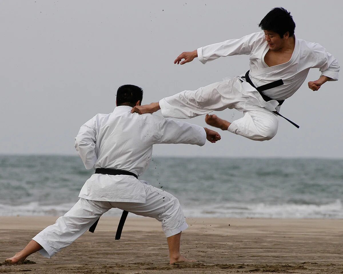 Окинава сенсей сокумото рю рю. Каратэ шотокан wkf. Понятия в каратэ киокушинкай. Карате киу ккушункай. Каратэ вкф кумитэ.