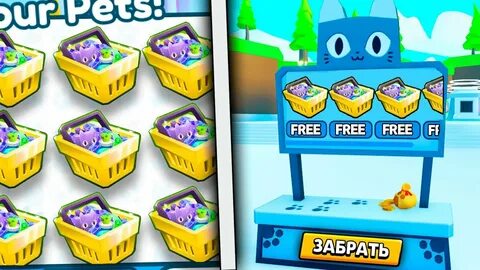 Обновление pets