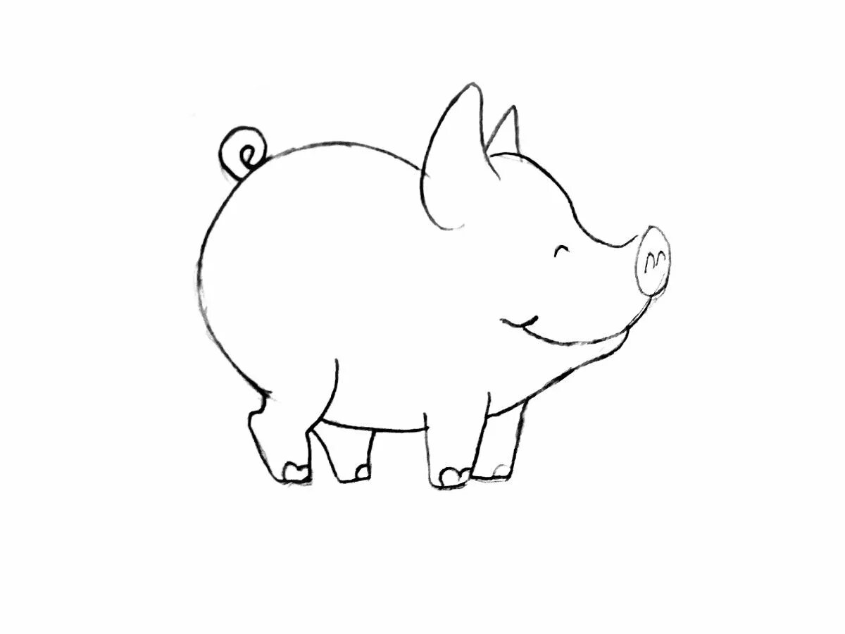 Просто свинка. Свинья рисунок. Свинья рисунок карандашом. Поросенок рисунок карандашом. Свинка рисунок карандашом.