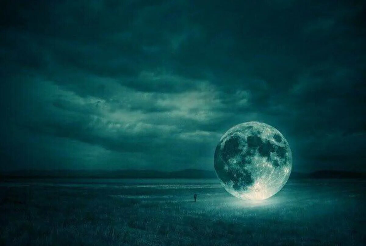 Луна и звезды цитаты. Красивые цитаты про ночь. Красивые высказывания о луне. Никогда не игнорируй человека который заботится больше. Луна и звезды цитаты.