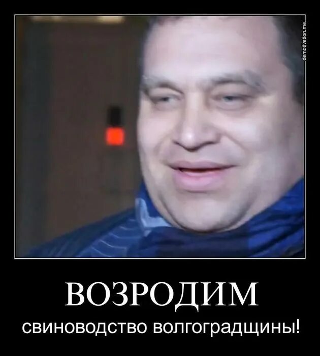 Толстые рожи чиновников. Алексей гордеев похож на гитлера. Игорь чайка 2020. Игорь чайка 2019. Портфель чиновника.