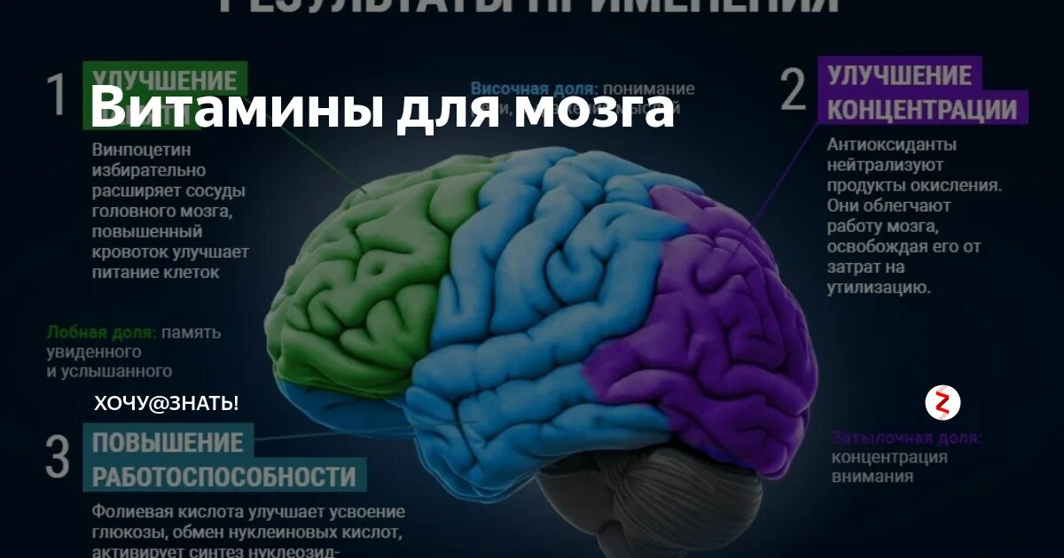 Хорошее средство для мозга. Витамины для мозга. Витамины для мозга и памяти для детей. Витамины для работы мозга. Витамины для памяти головного мозга.