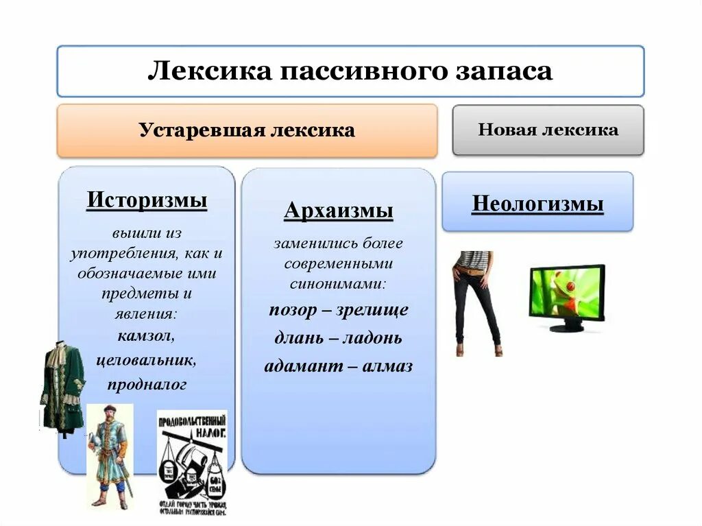 Пример русский лексика. Активный и пассивный словарный запас русского языка. Пассивная лексика историзмы. Лексика активного и пассивного запаса. Пассивный запас русского языка.