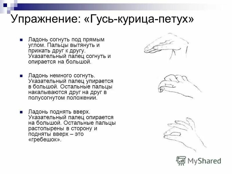 Кинезиологические упражнения гусь курица петух. Гимнастика для шеи шишонина гусь. Кинезиологические упражнения гусь курица петух. Упражнение гуси для детей. Кинезиологические упражнения гусь курочка петух.