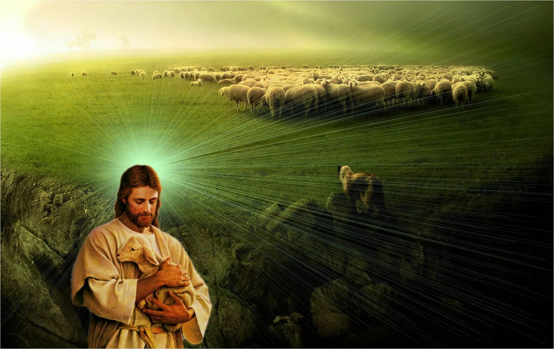 Иисус пастырь. Господь Пастырь. Пастырь добрый. Иисус добрый Пастырь. Иисус и стадо.