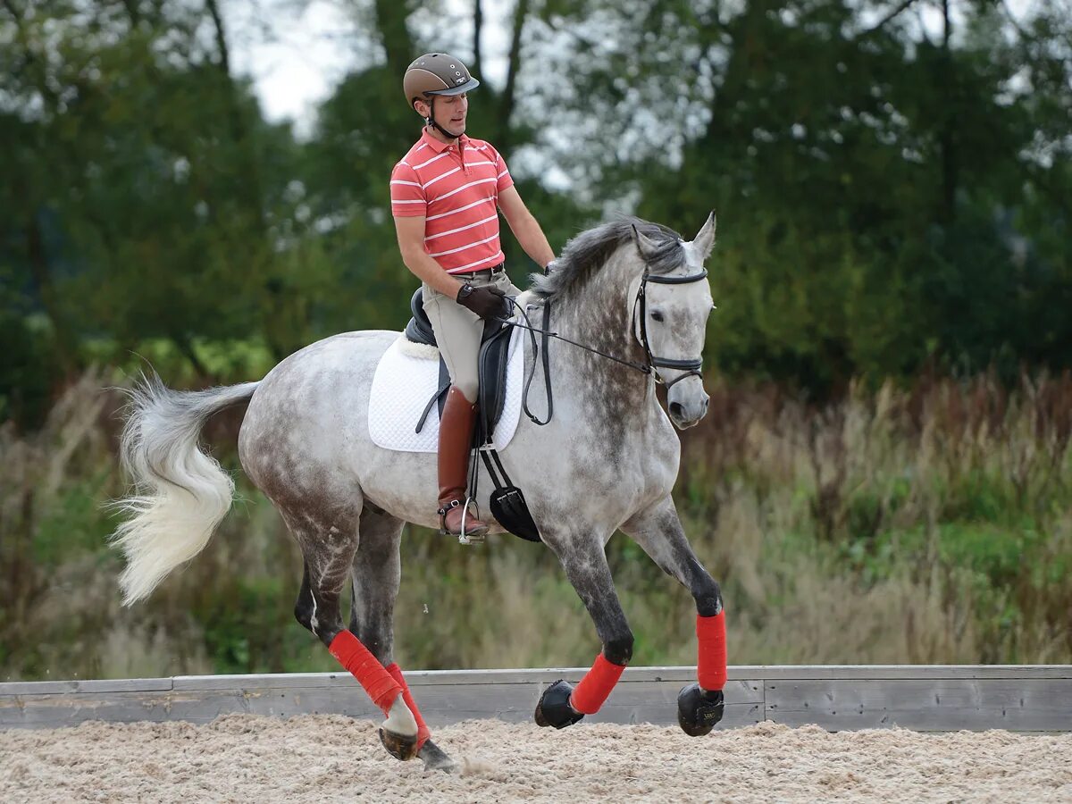 Хорс Райдер. Horse Rider. Horse riding. Хорсман оф Хевен.