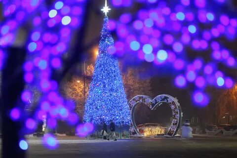 Где в подмосковье встретить новый год 2024