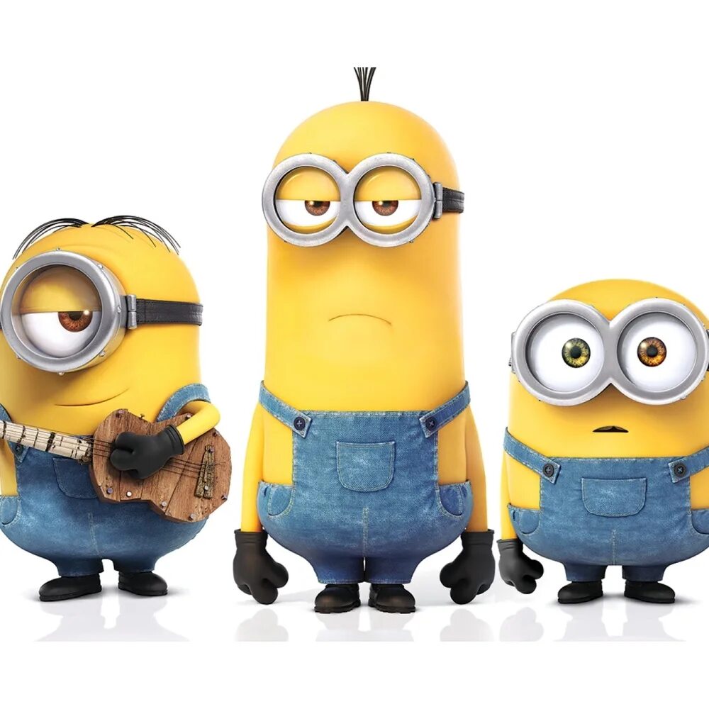 Minio. Minio