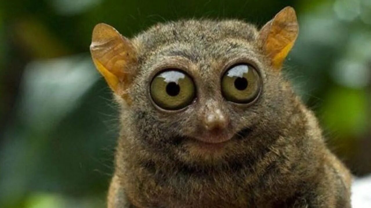 i?id=635e8c59f68bb0afcf0c44a60bd7e99e_l-