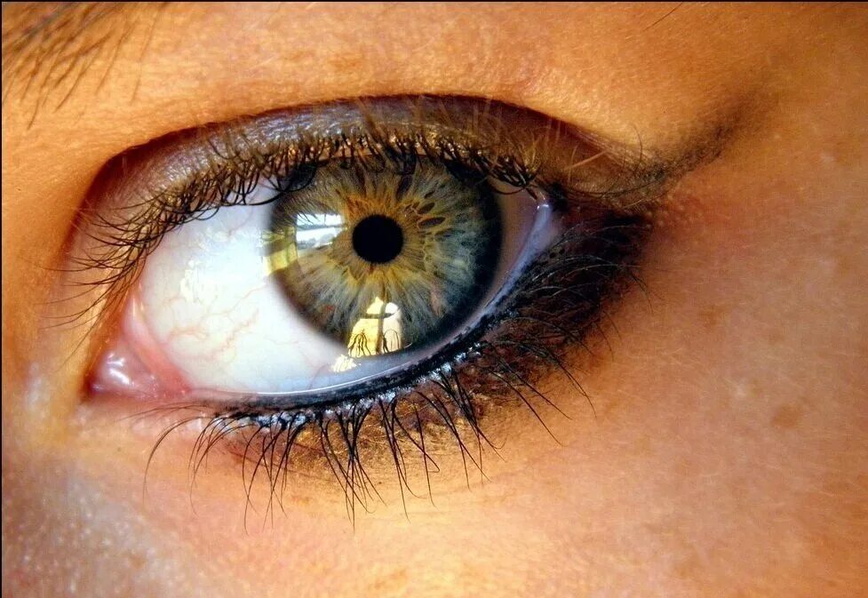 Буро желтые глаза. Зелёный Хазел цвет глаз. Серо зелено карие глаза. Голубо зелено карие глаза. Зелено янтарные глаза.